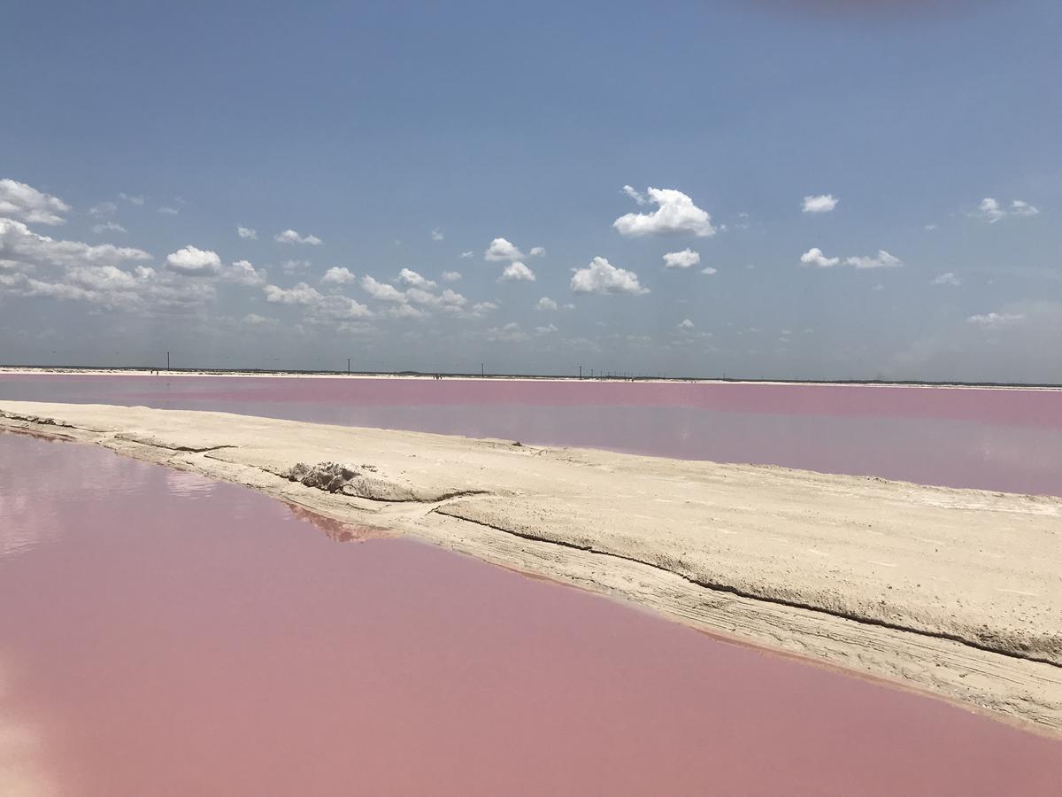 Río Lagartos Hotel Villa De Pescadores المظهر الخارجي الصورة